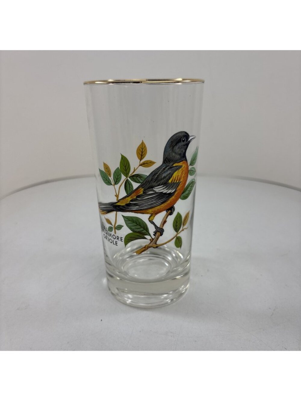 “Baltimore Oriole” Vintage 12oz Flat Tumbler By West Virginia Glass Specialty
